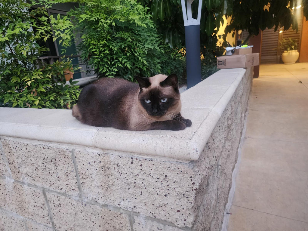 Vintage Siam Sterling Silver Niello Set 7pc 60g Thai Dancers Bracelets Pins